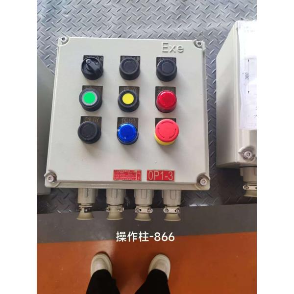 Explosion Proof Control Cabinet 380V | Flameproof Breaker Panel for Hazardous