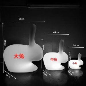 Custom Size Rotational Molding for LED Rabbit Lantern and Custom LED Lights