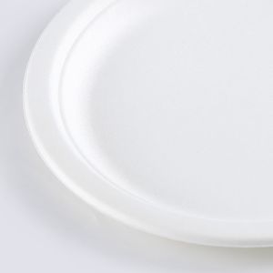 one time usable plates made of sugarcane bagasse 9inch