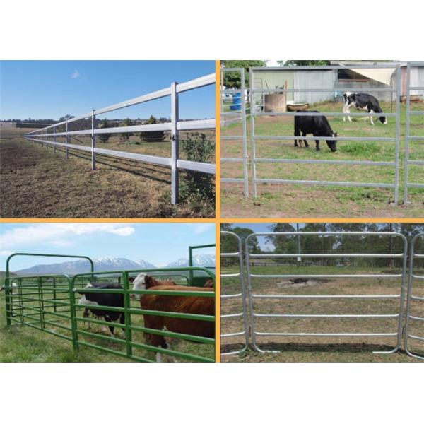 1.8*2.1m heavy duty 8 cattle yard gates / portable yard panels with oval pipe