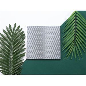 Gray 20x20cm Ceramic Rustic Tile for Indoor Floor and Wall