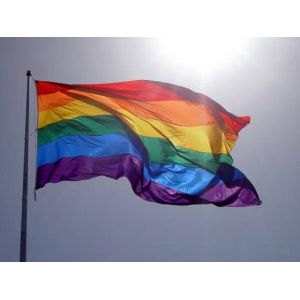 Sublimation Coated Digital Printing Fabric To Make Feather Flag Directly