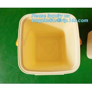 Airtight Pet Food Storage Container Combo with Scoop Treat Box for Dog Cat Bird