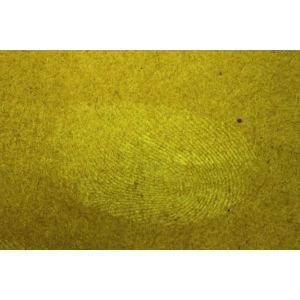 Portable Forensic Equipment , Paper Fingerprint Present Camera System