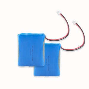 Samsung Rechargeable 18650 12V 2000mAh Lithium Ion Battery Pack