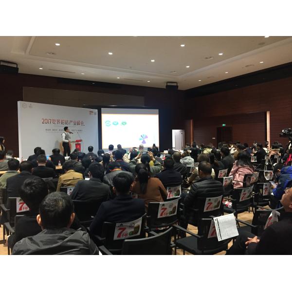 Quality the service platform providing the knowledge, skills and the business opportinities for fruits industry in China wholesale