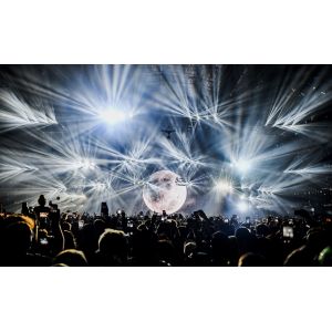 Transparent Gauze 3D Hologram Projection Pepperscrim