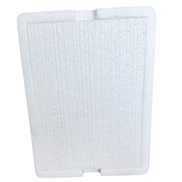 EPS material packaging transport protection custom foam packaging fragile