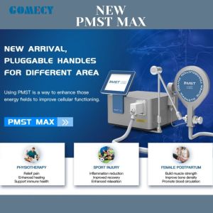 Portable Pain Relief PMST Physiotherapy Electromagnetic Therapy Machine