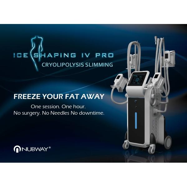 Quality CE / FDA approved criolipolisis cool tech cryolipolysie 4 cryo handles cryolipolysis body shaping slimming machine wholesale