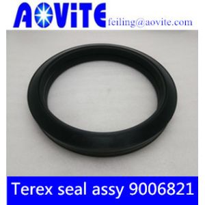 China Terex rear wheel lip seal 09006821 from China for terex tr50 3307 on sale