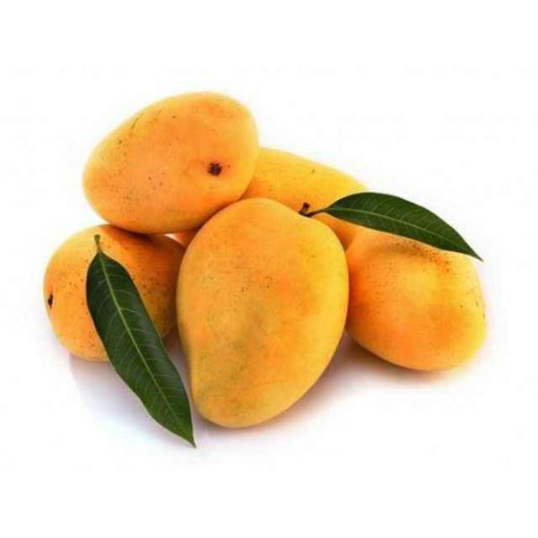 Quality IQF Frozen Fresh Mango Diced or Halves in Frozen Fruits wholesale