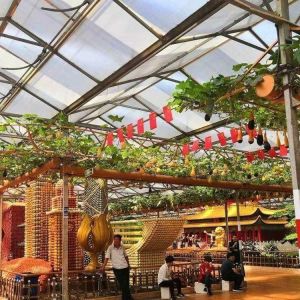 China Innovative Design and Innovative Hydroponic Glass Greenhouse for Growing Vegetables on sale