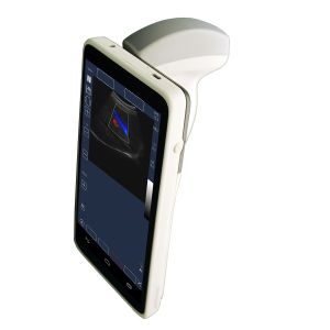 Handheld Ultrasound Scanner convex transducer