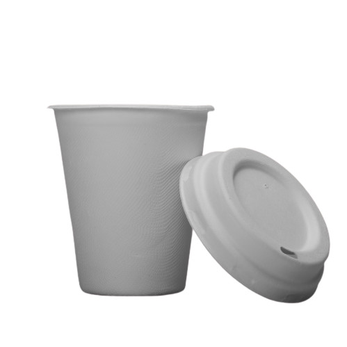 Quality Bagasse Molded Pulp Leakproof 8oz 250ml Biodegradable Cups And Lids wholesale