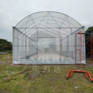 High Tunnel Greenhouse With Durable Steel Structure For Farming