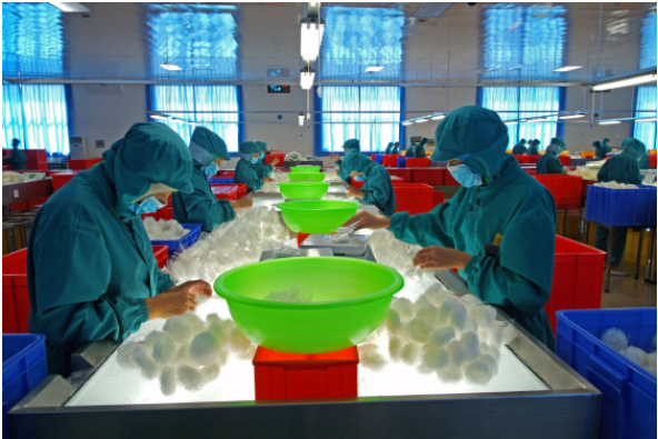 Vermicelli Coarse Cereal Type Bean Thread Rice Sweet Oriental Style Low-fat Noodle Green Bag Packing SHANDONG Mung Bean