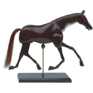 Animals Artist Wooden Manikins For Drawing Customized Color Avaliable