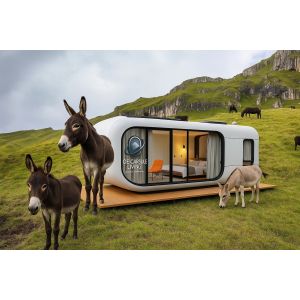 Luxury 20ft Modern Shipping Container House Small Residential Prefab Steel