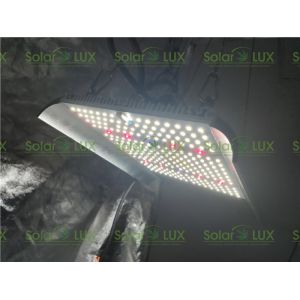 V2 Quantum Board 100w Full Spectrum Ufo Led Grow Light
