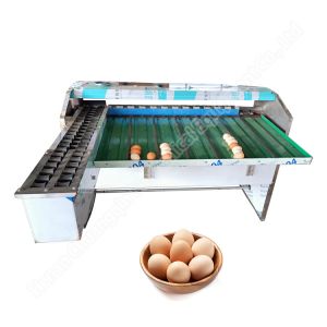 Automatic Egg Grader Machine Egg Grading Machine Sorter Egg Weight Sorter