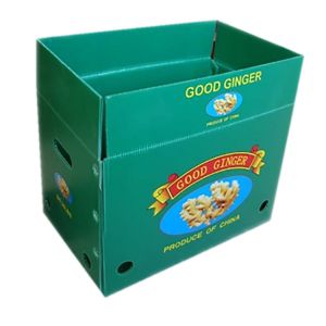 PP Cartonplast Fruit Vegetable Corrugated Boxes For Grapes Broccoli
