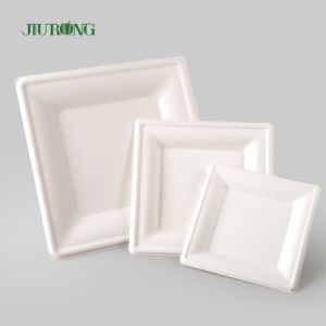 Biodegradable Disposable Kraft Paper Plate For Party Bulk Custom Print