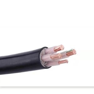 0.6mm 3.4mm Insulation Thickness XLPE Insulated Electric Wire with PVC Sheath