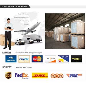 High Purity 95% Home O2 Generator Oxygen Production Equipment 10 L