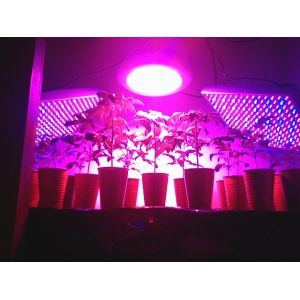 full spectrum led grow lights