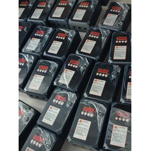 Full Vision Customized Modern Fully Transparent Insulated Segmented Elevated