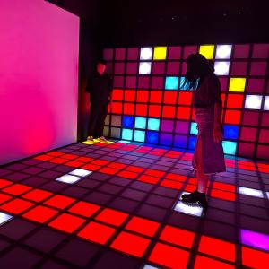 Cheap Custom LED Game Floor Program Interactive Game Room Active Grid LED Floor Game for sale