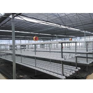 Vertical Automated Pvc Nft Hydroponics System Nft Hydroponic Farm