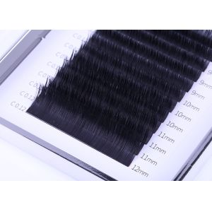 Volume 0.12MM Flat Eyelash Extensions , Ellipse Flat Lashes Synthetic Fiber
