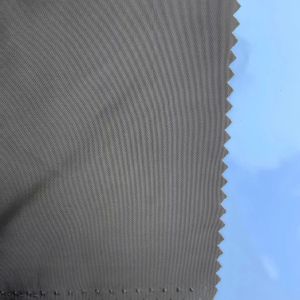 100%Polyester 63D*63D 55gsm 210T Taffeta
