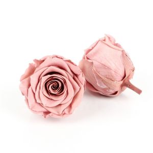 Pliability Maintaining Preserved Rose Heads Excellent Flowers Eternity