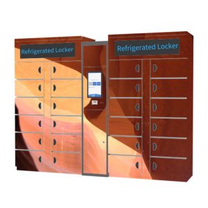 Cheap Winnsen Smart Refrigerated Locker Electronic Smart Cabinet Vegetable Lockers for sale