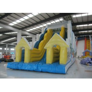 Big Inflatable Water Slides