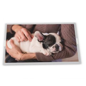 Cheap 8 inch a-Si TFT-LCD B080EAN01.1 CELL high-quality services rectangular screen lcd panel display in stock elevator display for sale