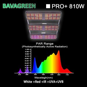 Cheap Bavagreen LM301H LED Grow Light 5000K White 660nm 8100w With UV IR for sale