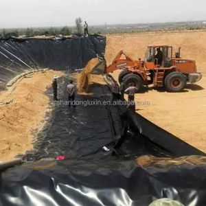 2mm HDPE Plastic Pond Liner Waterproof Membrane for Fish Tank and Landfill