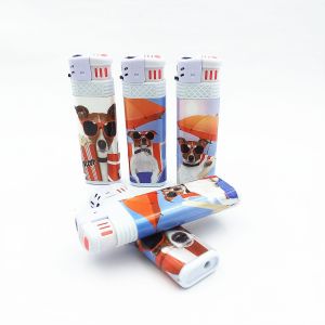 Disposable Electric Lighter Model NO. DY-F016 with Windproof Design and Good