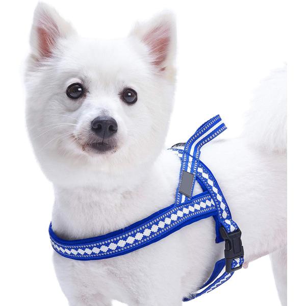 Quality Stylish Dog Harness Leash 3M Reflective Neoprene Soft Polyester Webbing wholesale