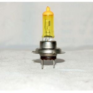 H7 BULBS