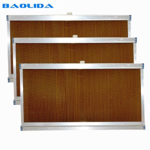 Large Size Greenhouse Cooling System / Fan Pad Cooling System In Greenhouse