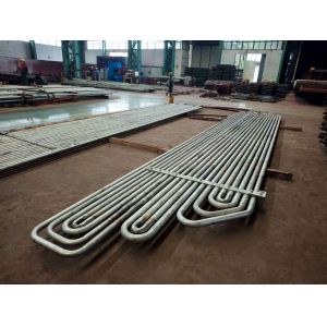 Natural Circulation Superheater Reheater for Power Station Boilers