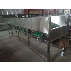 garlic sorting machine, garlic grading machine, garlic sorter, garlic grader