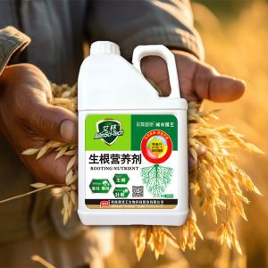 Enzyme Alginate Foliar Fertilizer Promotes Plant Rooting