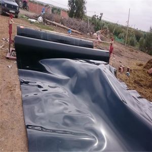 Waterproofing Landfill Biodigester Liners Geomembrane with Standard GB/ASTM GRI