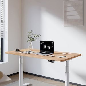 Double Motor Electric Student Writing Desk Height Adjustable Standing Table for